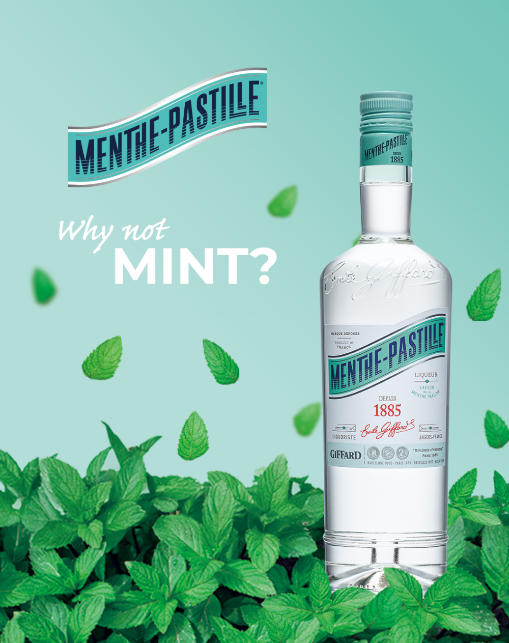 Why not mint? ミントで、一息つきませんか。